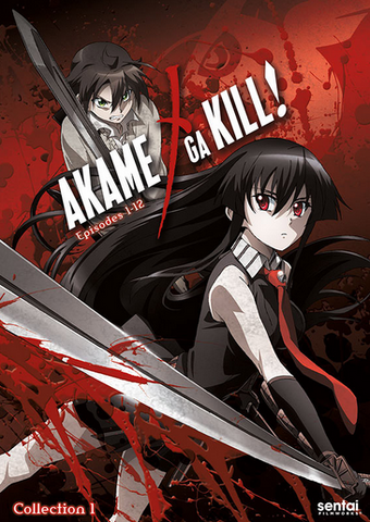 Akame Ga Kill 14 Japanese Voice Over Wikia Fandom