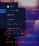 Navi setup button