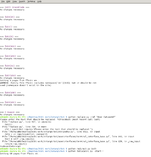 Python terminal