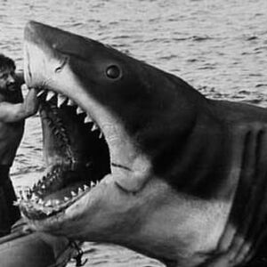 Bruce Jaws Wiki Fandom