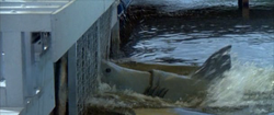 Jaws-3d-1