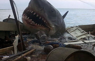 image great white shark from jaws 1 jpg jaws wiki fandom size of great white sharks