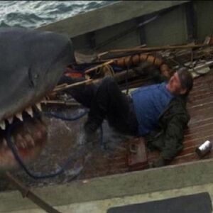 Jaws Wiki Fandom
