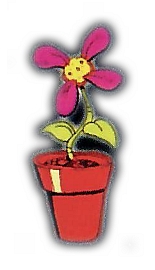 Potted Plant