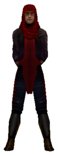 NPC reborn boss