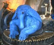 Max rebo