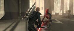 Maul vs vizsla