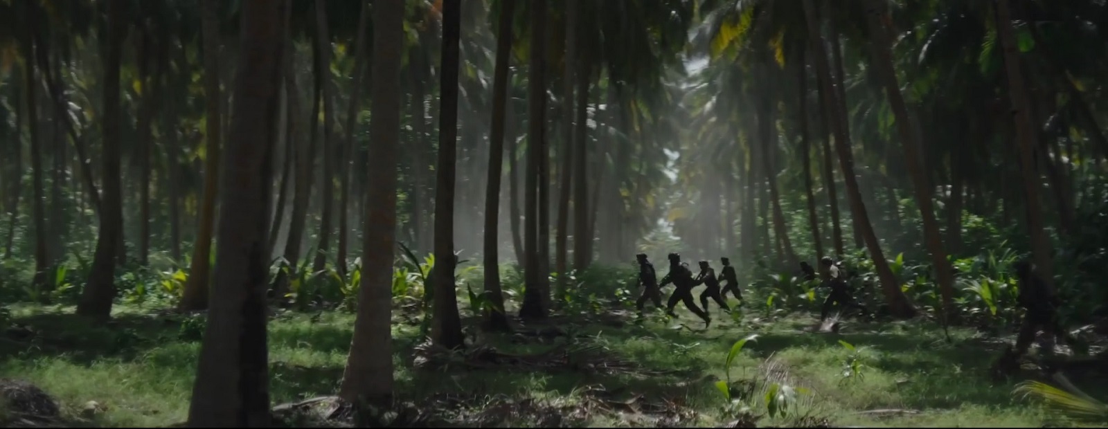 Mehrere Rebellen rücken in Gruppen durch Palmenwälder zu anderen Laderampen vor um dort ihre Sprengsätze anzubringen