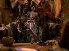 Logray Ewoks
