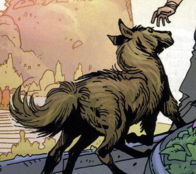 KategorieCodruJi Jedipedia FANDOM powered by Wikia