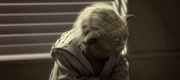 Yoda spürt den Tod der Tusken