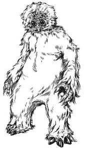 Muftak TEGC