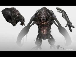Gorog03