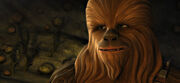 Wookiee Hunt