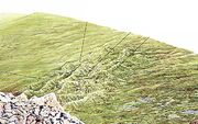 Gallo Berge