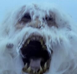 Wampas