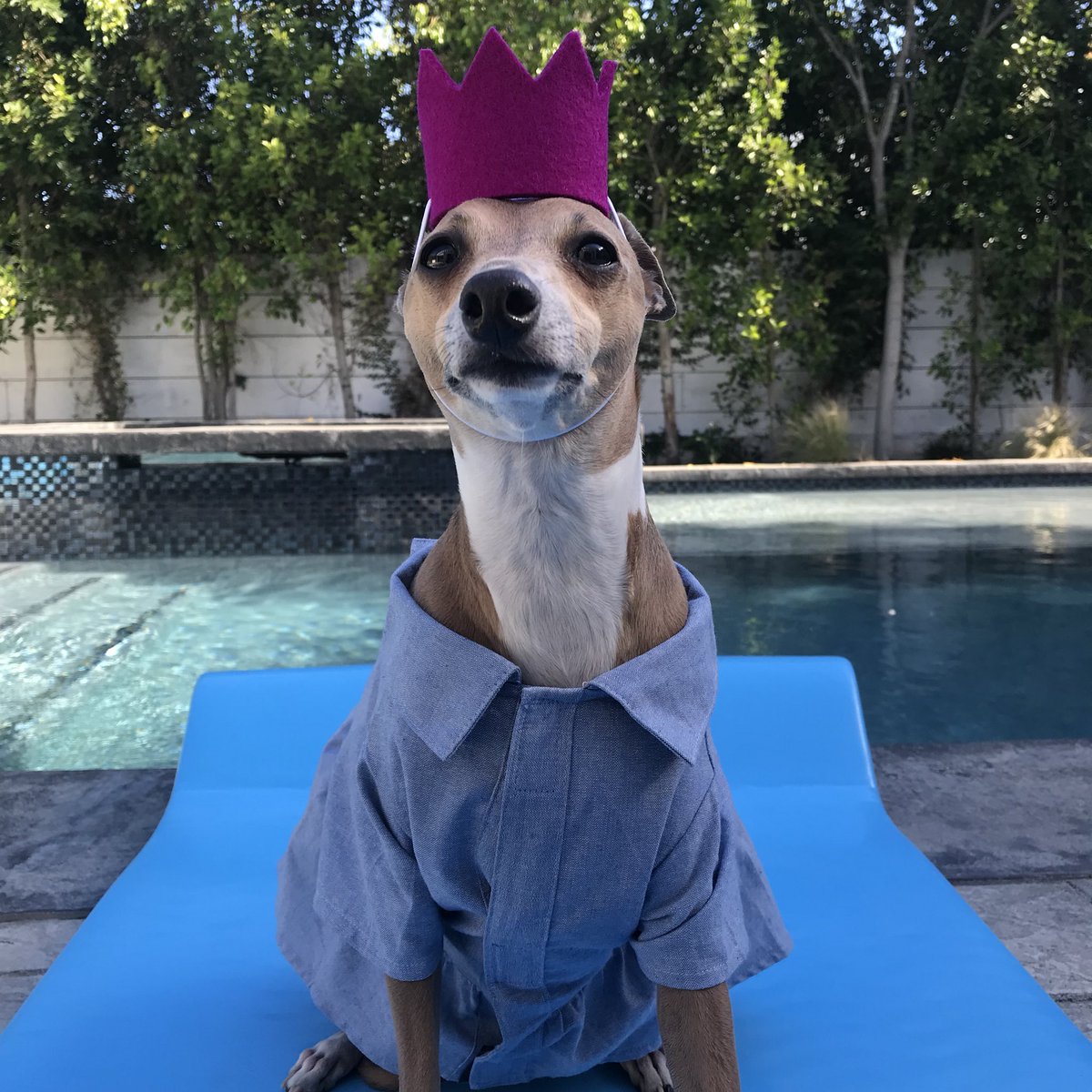 Peach | Jenna Marbles Wiki | FANDOM powered by Wikia
