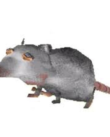 The Rats Jerma Lore Wiki Fandom