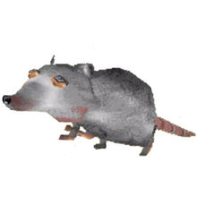 The Rats | Jerma Lore Wiki | FANDOM powered by Wikia