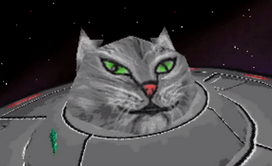 CatUFO
