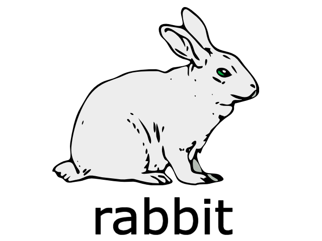 Resultado de imagen de rabbit flashcard