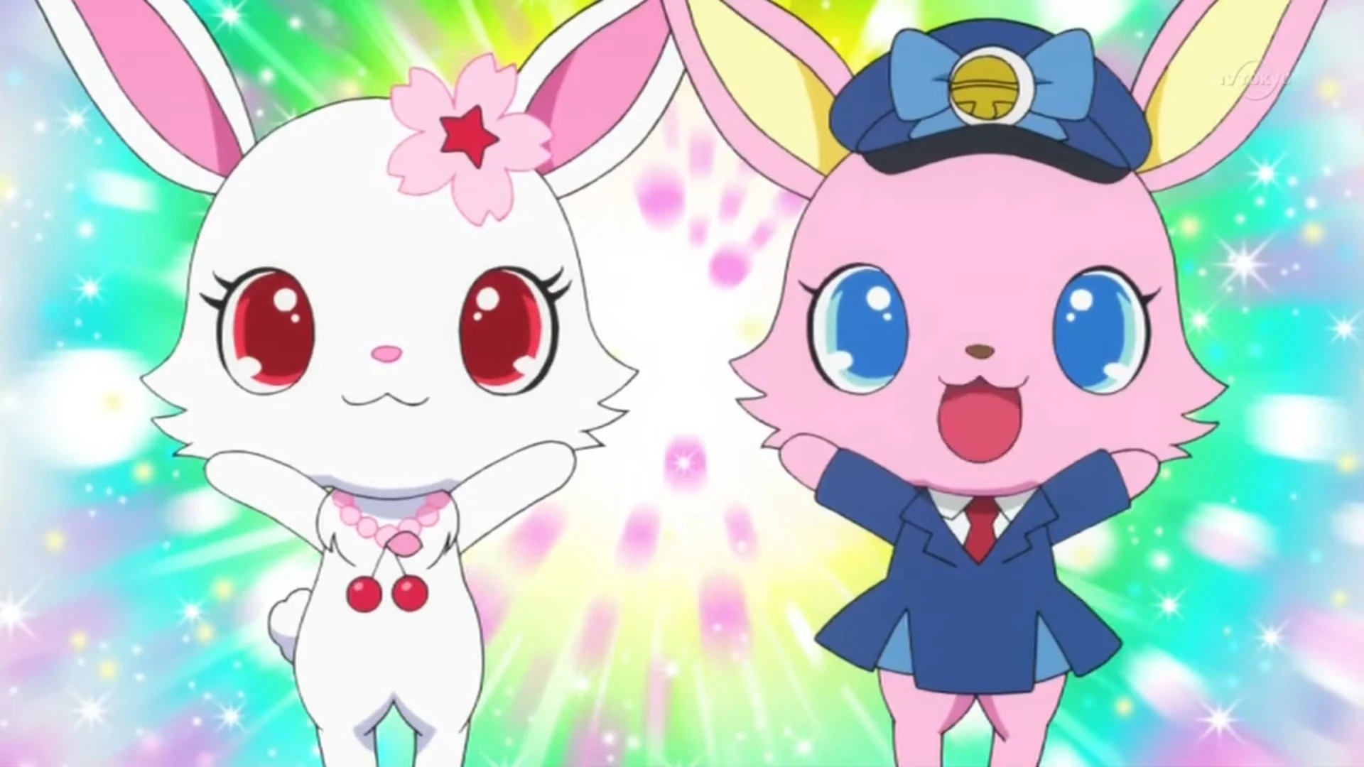 Luna/Image Gallery Jewel Pet Wiki Fandom