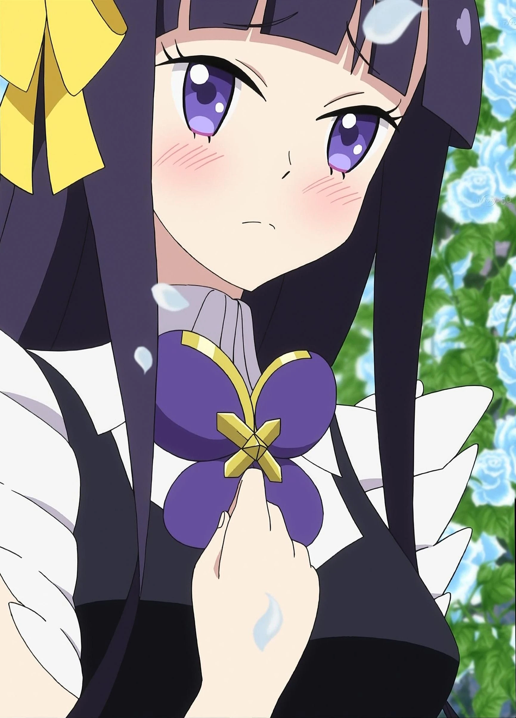 Image Lillian's worried.jpg Jewel Pet Wiki FANDOM powered by Wikia