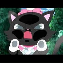 Wallpaper Diana Image Gallery Jewel Pet Wiki Fandom For Android