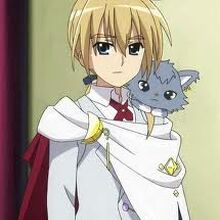 Get Wallpaper Dian Image Gallery Jewel Pet Wiki Fandom For Free