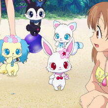 Wallpaper Airi Kirara Image Gallery Jewel Pet Wiki Fandom Free HD