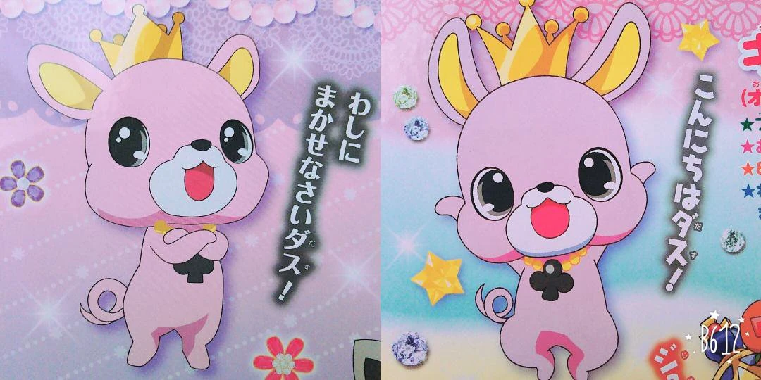 King/Image Gallery Jewel Pet Wiki Fandom