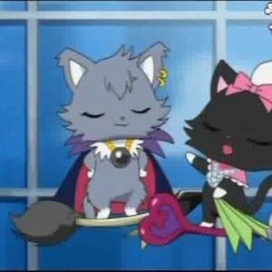Wallpaper Dian Image Gallery Jewel Pet Wiki Fandom For iPhone Free