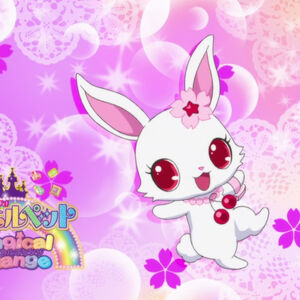 Get Wallpaper Eyecatch Jewel Pet Wiki Fandom Desktop Wallpaper Free