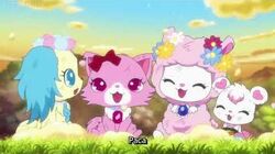Get Wallpaper Jewel Pet Wiki Fandom Desktop Wallpaper Free
