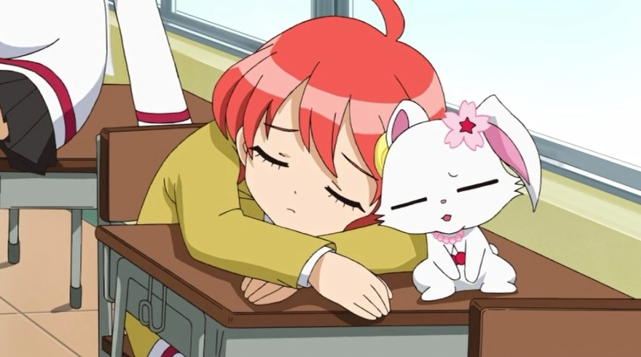 Image Sleepy RinkoChan & Ruby.jpg Jewel Pet Wiki FANDOM powered