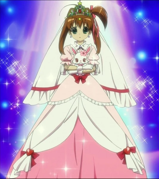 Image AKira's dress.jpg Jewel Pet Wiki FANDOM powered by Wikia