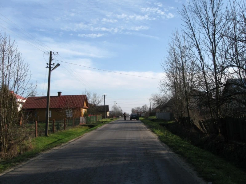 Zalesie Encyklopedia Jeżowego FANDOM powered by Wikia