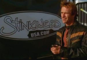 Stinkweed