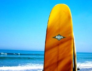 Board