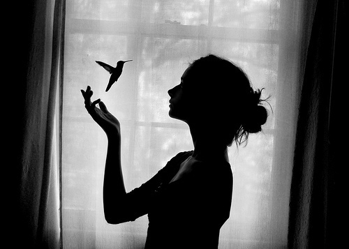image bird black and white girl photography pretty favim com