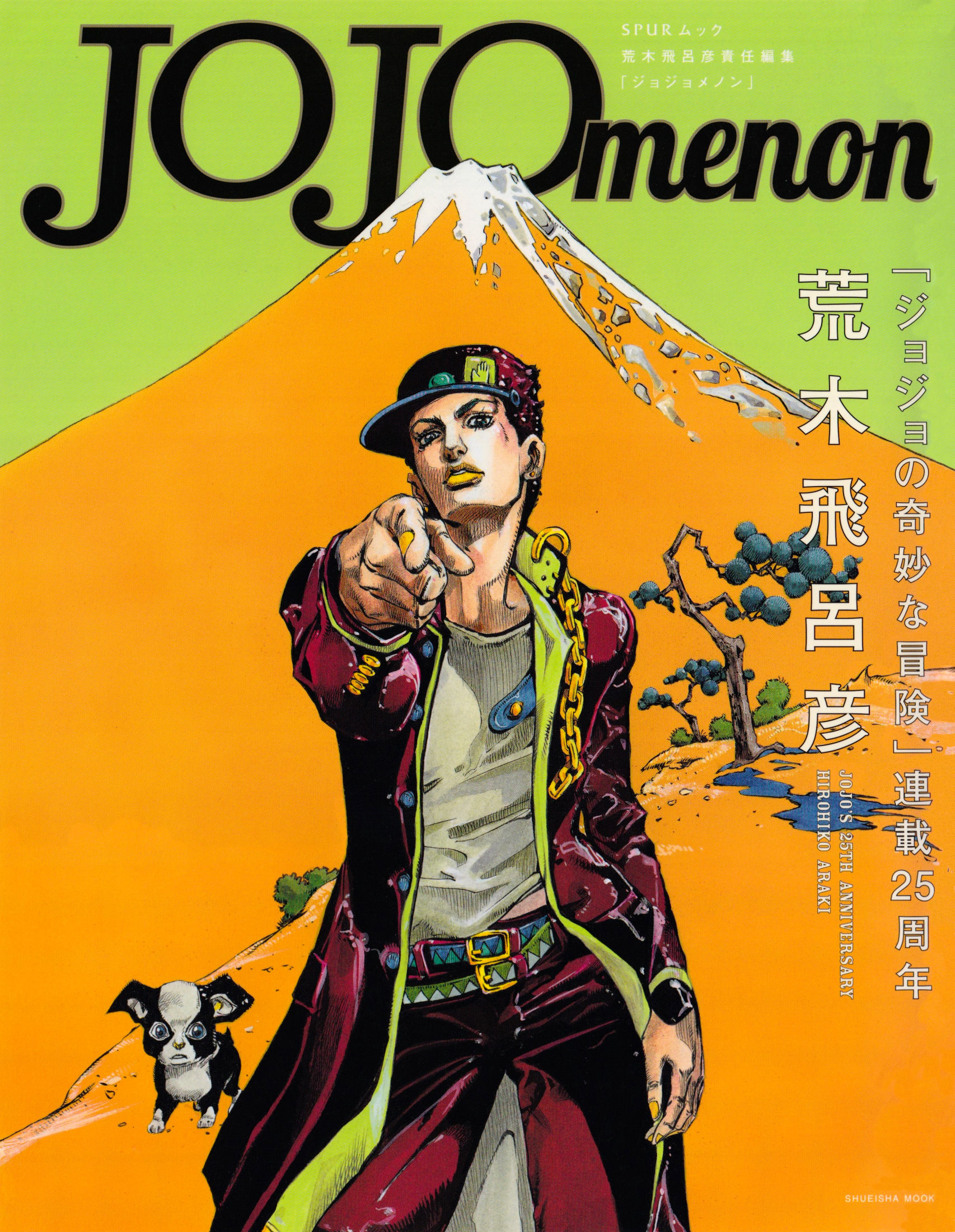 JOJO'S BIZARRE ADVENTURE Jotaro Kujo illustration Post Photo Card Anime C#91