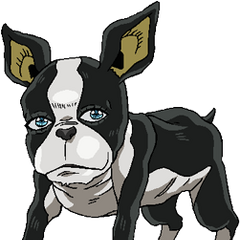 Iggy Jojo S Bizarre Encyclopedia Fandom Powered By Wikia