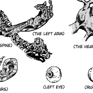 Saint S Corpse Jojo S Bizarre Wiki Fandom