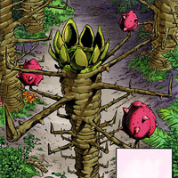 Locacaca Jojo S Bizarre Wiki Fandom