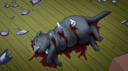 Tama's Death