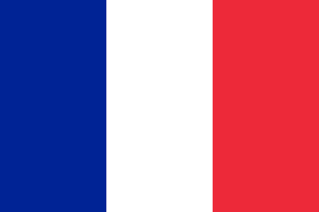 Download File:Flag of France.svg | JoJo's Bizarre Encyclopedia ...