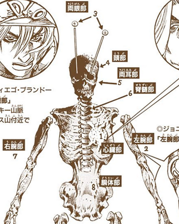 Saint S Corpse Jojo S Bizarre Wiki Fandom