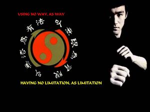 Bruce lee jkd