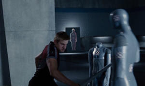 Cato-treinando