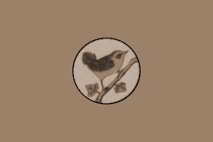 Bantam Skylark